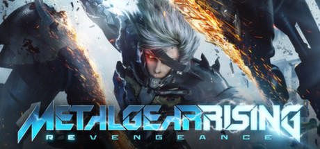METAL GEAR RISING REVENGEANCE